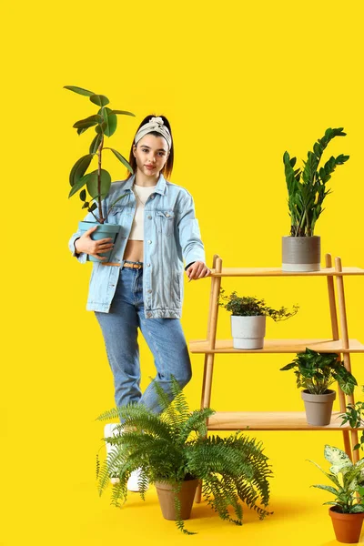 Young Woman Shelving Unit Green Houseplants Yellow Background — Stockfoto