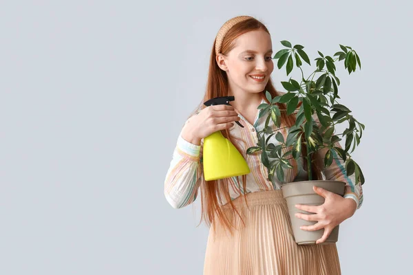 Junge Frau Mit Sprühflasche Und Grüner Zimmerpflanze Auf Grauem Hintergrund — Stockfoto