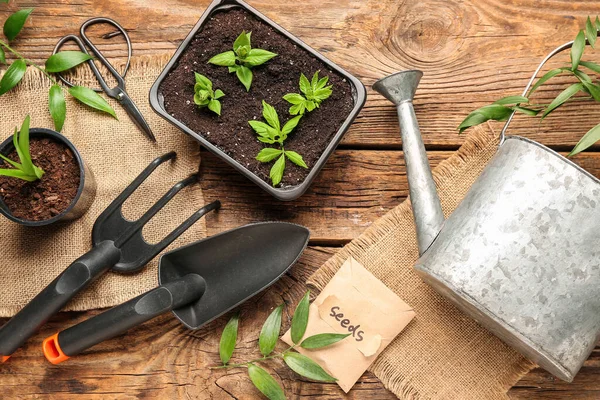 Pacote Com Sementes Mudas Verdes Ferramentas Jardinagem Fundo Madeira — Fotografia de Stock