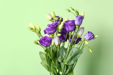 Yeşil arka planda Eustoma çiçekleri