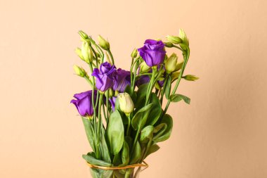 Bej arkaplanda Eustoma çiçekleri