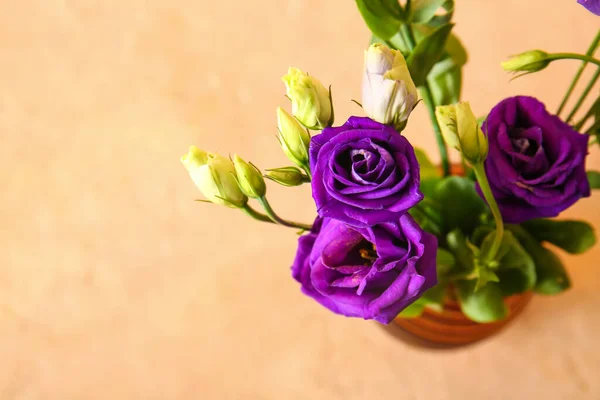 Eustoma Flowers Beige Background — Stock Photo, Image