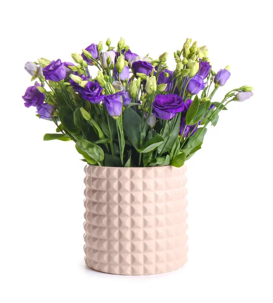 Váza Eustoma Virágok Fehér Háttér — Stock Fotó