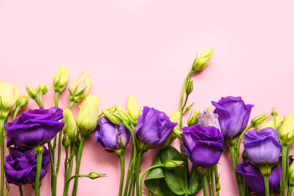 Eustoma Çiçekleri Pembe Arka Plan — Stok fotoğraf