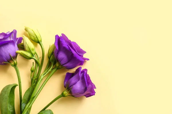 Eustoma Flowers Beige Background — Stock Photo, Image