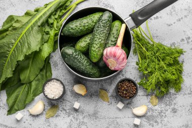 Taze salatalıklı tencere ve hafif arka planda korunması için malzemeler.