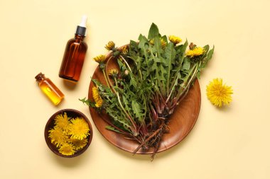 Kozmetik yağlı şişeler ve bej arka planda bir tabak karahindiba çiçeği