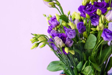 Leylak arka planında Eustoma çiçekleri