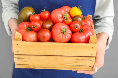 Gri arka planda farklı taze domatesli ahşap kutu tutan kadın, yakın plan.