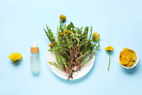 Bottle Cosmetic Oil Plate Dandelion Flowers Blue Background — Stock Photo, Image