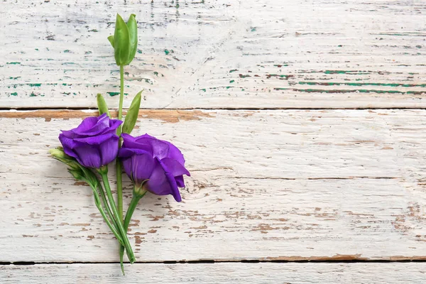 stock image Beautiful eustoma flowers on light wooden background