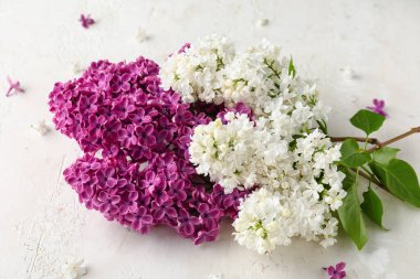 Beyaz desenli arka planda güzel kokulu leylak çiçekleri.