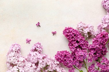 Beyaz desenli arka planda güzel kokulu leylak çiçekleri