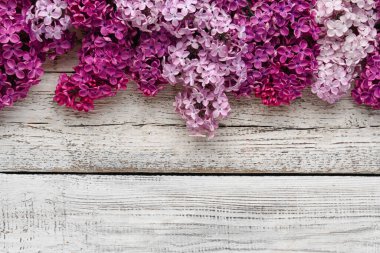 Beyaz ahşap arka planda güzel kokulu leylak çiçekleri