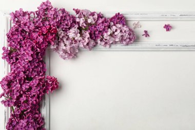 Beyaz ahşap duvarda güzel kokulu leylak çiçekleri