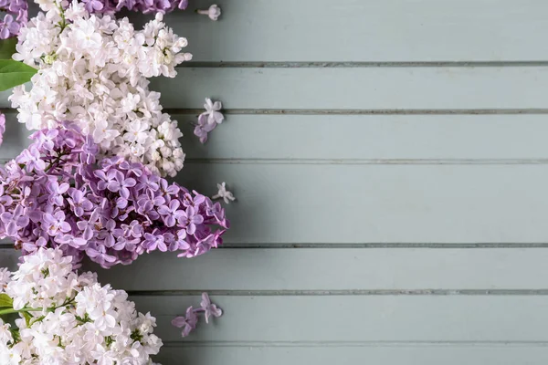 Beautiful Fragrant Lilac Flowers Grey Wooden Background — Stock Photo, Image