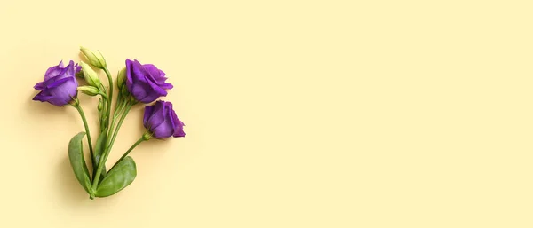 Fresh Eustoma Flowers Beige Background Space Text — Stock Photo, Image