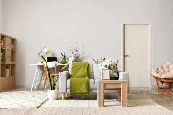 Interieur Eines Modernen Wohnzimmers Mit Grauem Sofa Arbeitsplatz Und Blühenden — Stockfoto