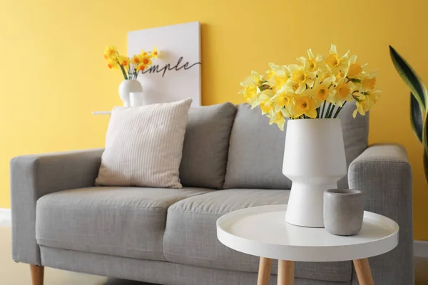 stock image Interior of living room with grey sofa and blooming narcissus flowers on coffee table