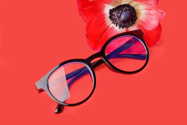 Kırmızı Arka Planda Gelincik Çiçekli Şık Gözlükler — Stok fotoğraf