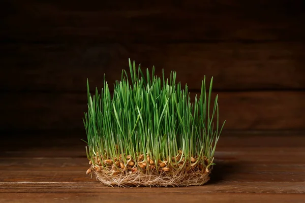 Fresh Wheatgrass Brown Wooden Table — Stock Photo, Image