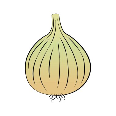 beyaz zemin üzerine soğan ampul