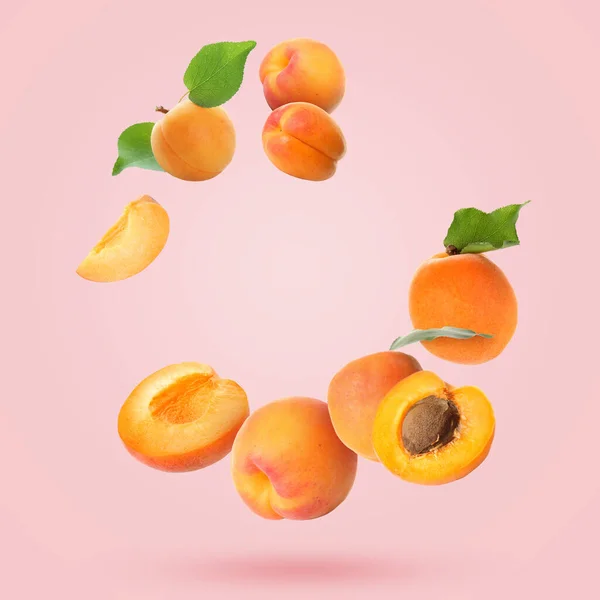 Flying Apricots Pink Background — Stock Photo, Image