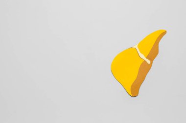 Gri arkaplanda sarı kağıt karaciğer