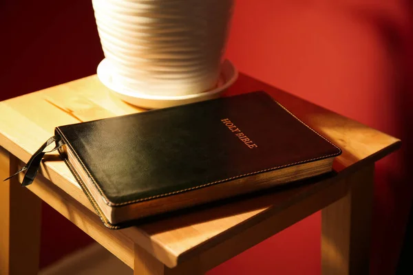 Bíblia Sagrada Com Planta Mesa Quarto — Fotografia de Stock