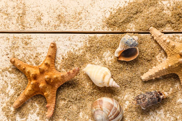 Seashells Starfishes Sand White Wooden Background — Stock Photo, Image