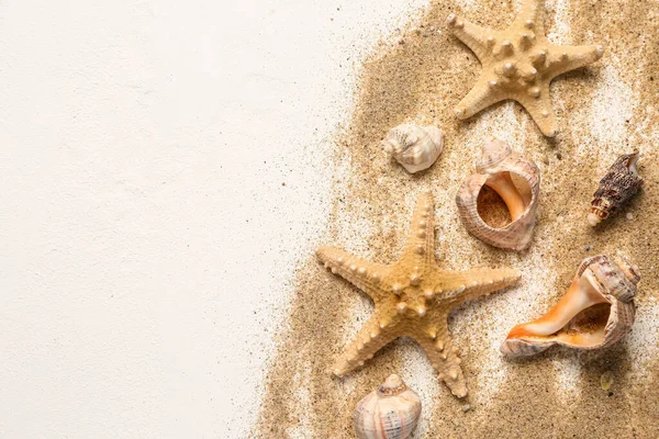 Seashells and starfishes with sand on white background