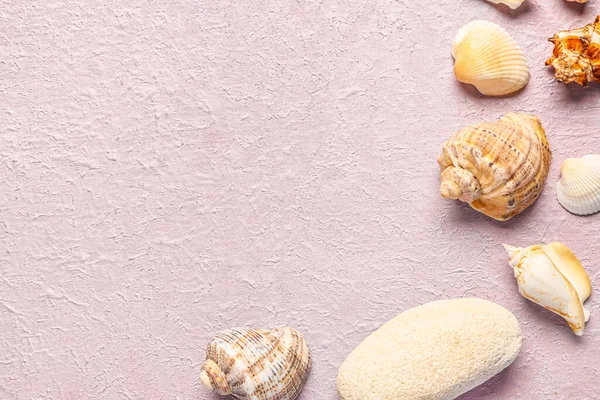 Beautiful Seashells Lilac Background — Stock Photo, Image
