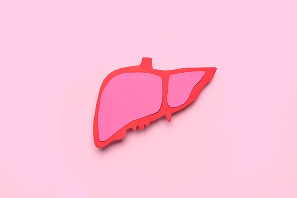 Paper Liver Pink Background — Stock Photo, Image