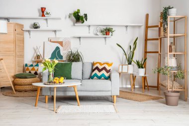 Rahat kanepesi ve sehpası olan şık bir oturma odası.