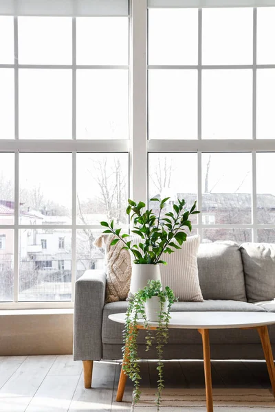 Interior Bright Living Room Cozy Sofa Coffee Table Big Window — Stock Photo, Image