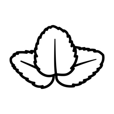 Beyaz arkaplanda nane yaprakları çiz