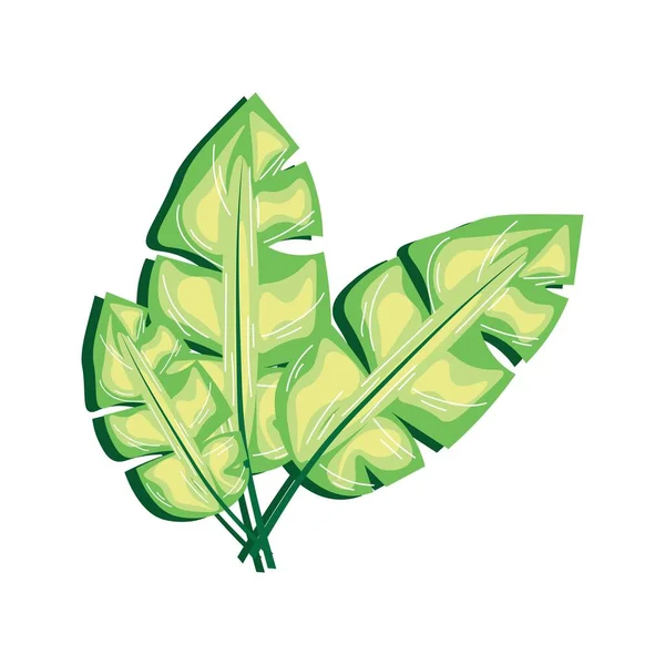 Tropische Blätter Auf Weißem Hintergrund — Stockvektor