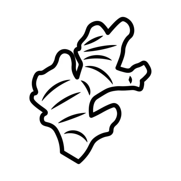 Zenzero Disegnato Sfondo Bianco — Vettoriale Stock