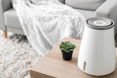 Modern nemlendirici ve ev bitkisi oturma odasının içindeki masada.