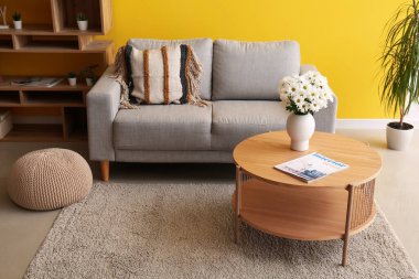 Oturma odasında, kahve masasında gri kanepe ve kasımpatı çiçekleri var.