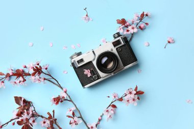 Çiçekli ağaç dalları, pembe çiçekler ve mavi arka planda fotoğraf makinesi.