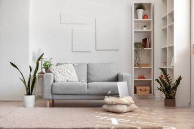 Interior of light living room with grey sofa, houseplants and shelving unit