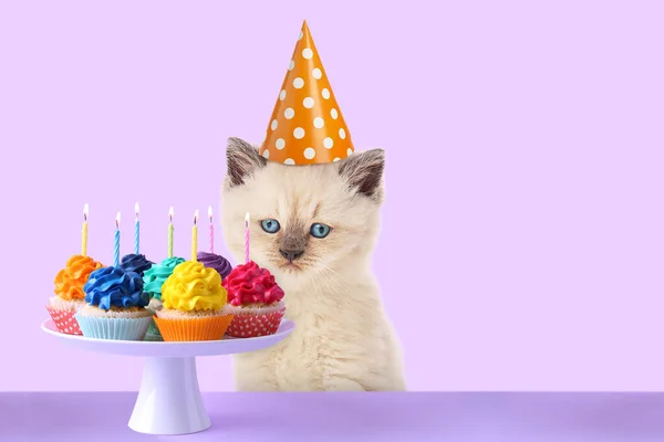 모자를 귀여운 고양이와 텍스트를 라일락 배경의 케이크와 — 스톡 사진