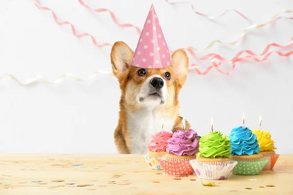 Lindo Perro Corgi Sombrero Fiesta Con Pasteles Cumpleaños Sobre Fondo —  Fotos de Stock
