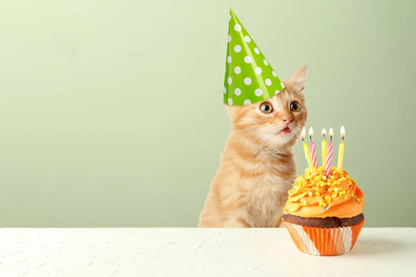 Lindo Gato Sombrero Fiesta Con Pastel Cumpleaños Sobre Fondo Verde —  Fotos de Stock
