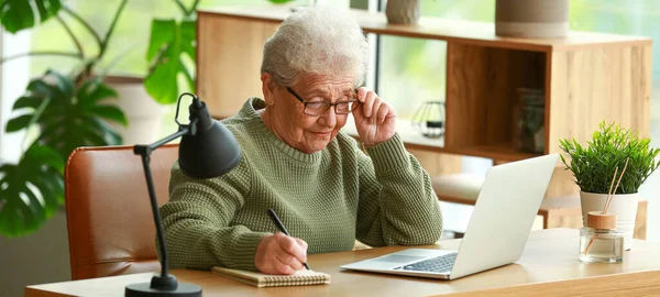 Senior Woman Working Laptop Notebook Office — Stock Photo, Image