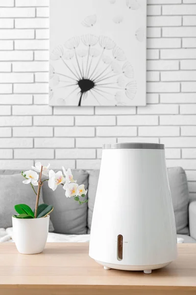 Modern Humidifier Flowers Pot Table Interior Living Room — Stock Photo, Image