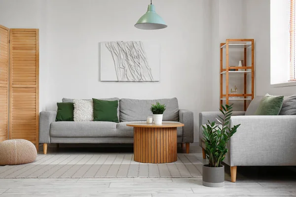 Interior Light Living Room Grey Sofas Houseplant Coffee Table — Stock Photo, Image