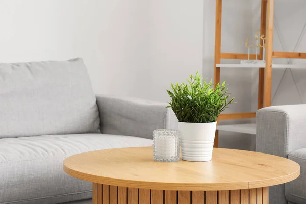 リビングルームのインテリアの観葉植物と木製のコーヒーテーブル — ストック写真
