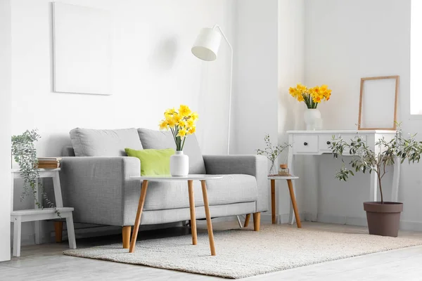 Interior Living Room Grey Sofa Blossoming Narcissus Flowers Coffee Table — Stock Photo, Image
